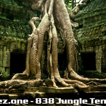 kleez.one   838 Jungle Temple