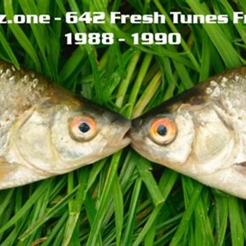 kleez.one   642 Fresh Tunes From 1988   1990