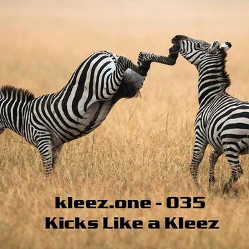 kleez.one   035 Kicks Like a Kleez