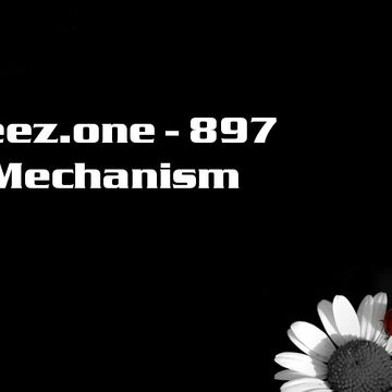 kleez.one   897 Mechanism