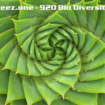 kleez.one   920 Bio Diversity