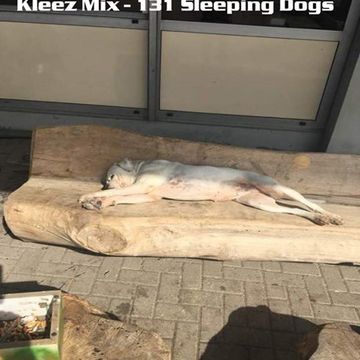 Kleez Mix   131 Sleeping Dogs