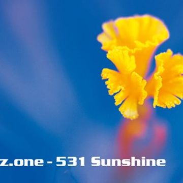 kleez.one   531 Sunshine