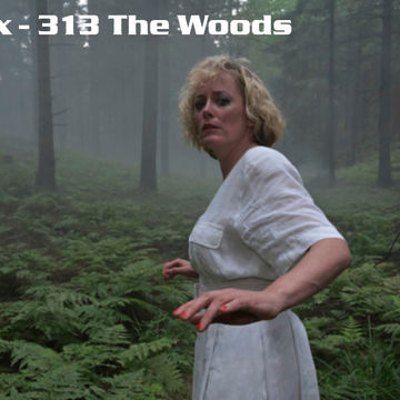 Kleez Mix   313 The Woods