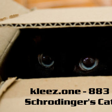 kleez.one   883 Schrodinger's Cat