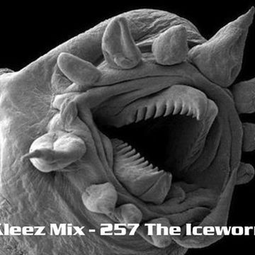 Kleez Mix   257 The Iceworm