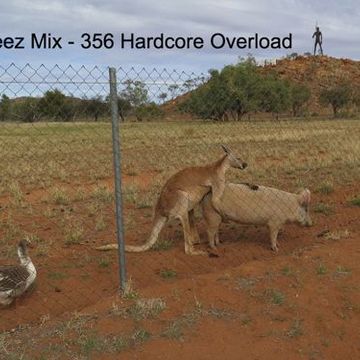 Kleez Mix   356 Hardcore Overload