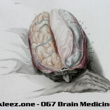 kleez.one   067 Brain Medicine