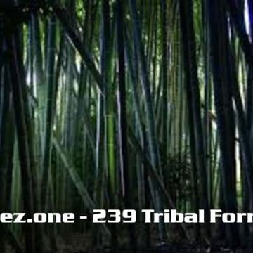 kleez.one   239 Tribal Forrest