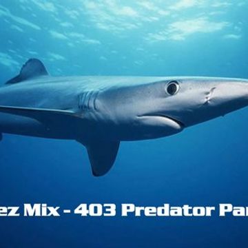 Kleez Mix   403 Predator Part 4