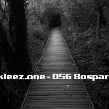 kleez.one   056 Bospark