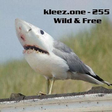 kleez.one   255 Wild & Free