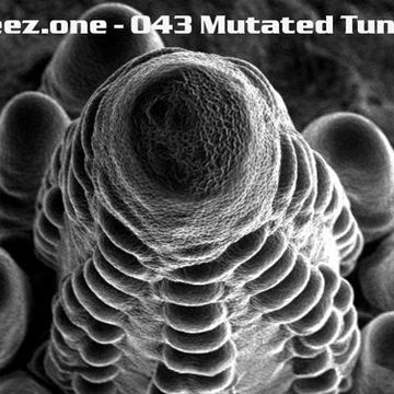 kleez.one   043 Mutated Tunes