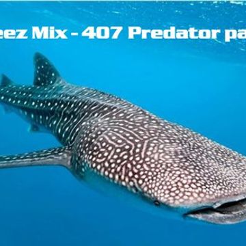 Kleez Mix   407 Predator part 8