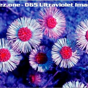 kleez.one   065 Ultraviolet Images