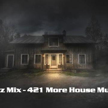 Kleez Mix   421 More House Music