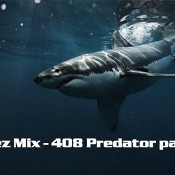 Kleez Mix   408 Predator part 9