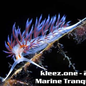kleez.one   254 Marine Tranquility