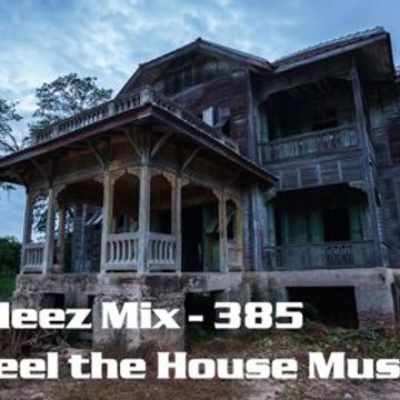 Kleez Mix   385 Feel the House Music