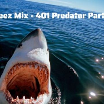 Kleez Mix   401 Predator Part 2