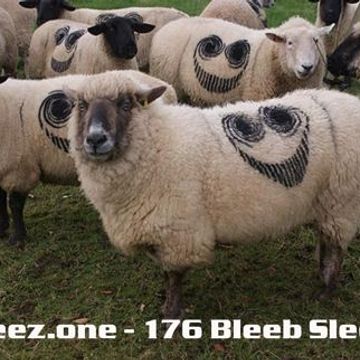 kleez.one   176 Bleeb Sleep