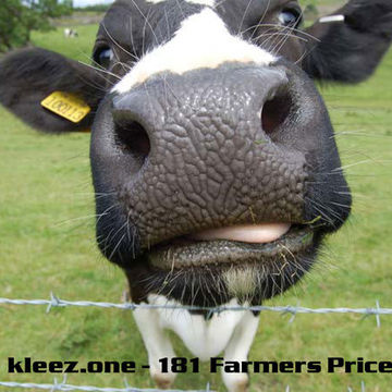 kleez.one   181 Farmers Price