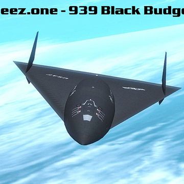 kleez.one   939 Black Budget