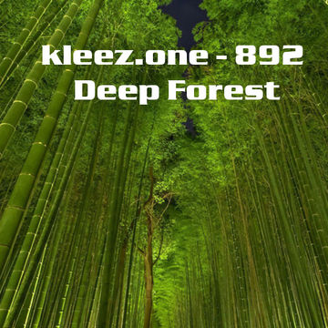 kleez.one   892 Deep Forest