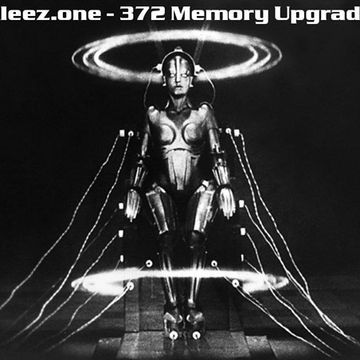 kleez.one   372 Memory Upgrade