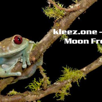 kleez.one   813 Moon Frog