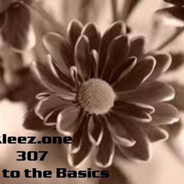 kleez.one   307 Back to the Basics