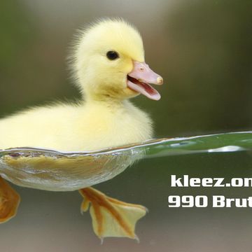 kleez.one   990 Brutal