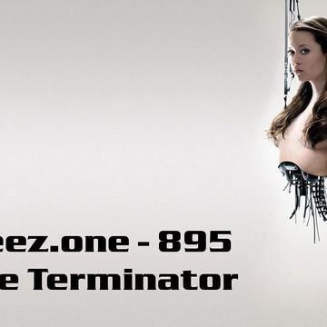 kleez.one   895 The Terminator