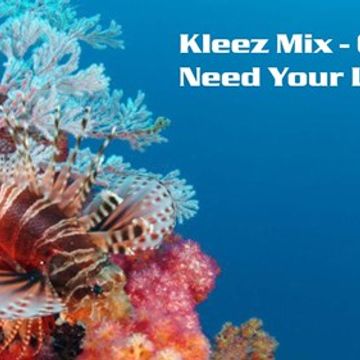 Kleez Mix   009 Need Your Loving