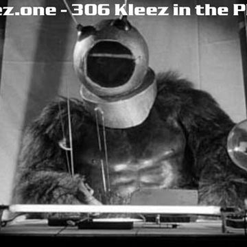 kleez.one   306 Kleez in the Place