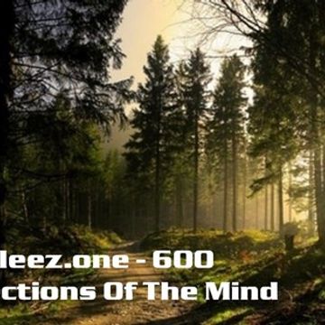 kleez.one   600 Reflections Of The Mind