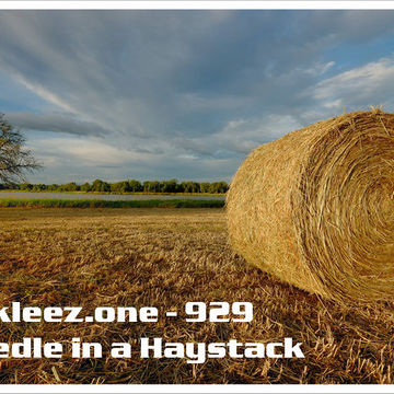 kleez.one   929 Needle in a Haystack