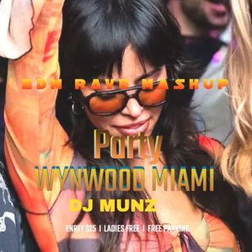 WYNWOOD MIAMI PARTY DJMUNZ EDM MASHUP PARTY