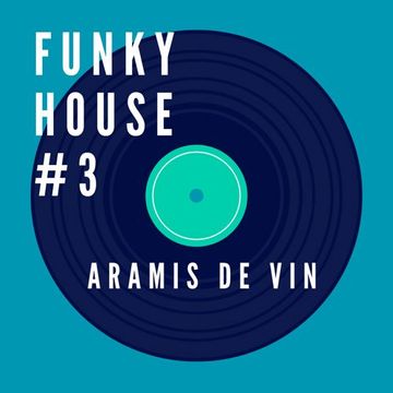 FUNKY HOUSE # 3