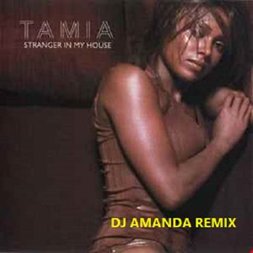 Tamia - Stranger In My House  [DJ Amanda Remix]