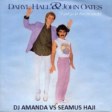 HALL AND OATES   I CAN'T GO FOR THAT 2017 [DJ AMANDA VS SEAMUS HAJI]