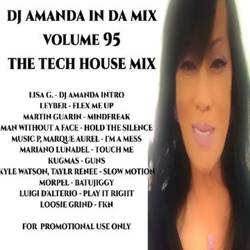 DJ AMANDA IN THE MIX VOLUME 95 TECH HOUSE MIX