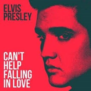 ELVIS PRESLEY   CAN'T HELP FALLING IN LOVE (DJ AMANDA VS PINK PANDA) 