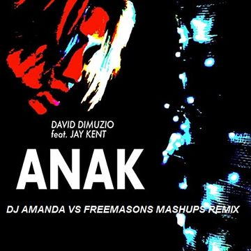 DAVID DIMUZIO feat. JAY KENT ANAK (DJ AMANDA VS FREEMASONS MASHUPS REMIX)