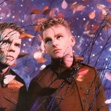 Erasure Victim of Love Mixx