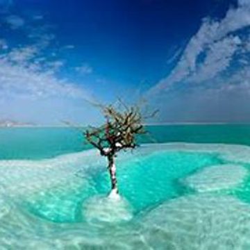 Deepness Interrupted - Take Me To The Dead Sea (No Water)