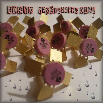 RUBYX   Psygressive 029.