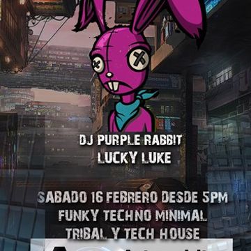 DJ Purple Rabbit   Funky fun Po DJ Mix FEB 2019