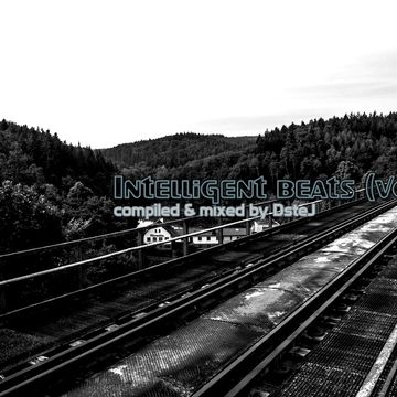 Intelligent beats (Vol. 12)