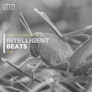 Intelligent beats '20.05